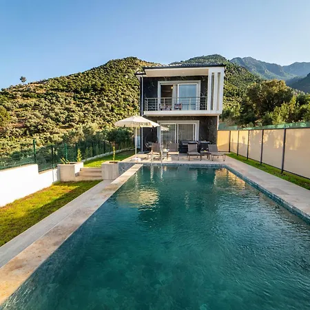 Endo Villa *
